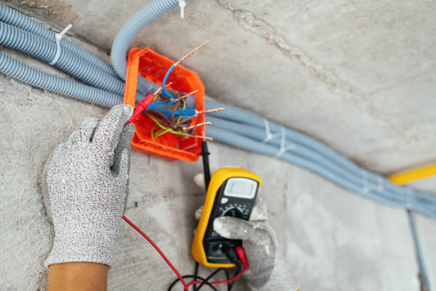Best Electrician for Home Renovation  in East Douglas, MA